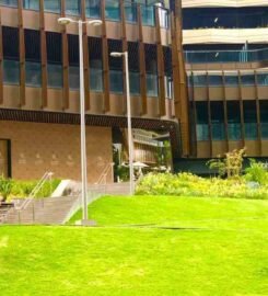 Tho Tho Bar & Restaurant