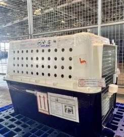 EVo Moves Company Limited