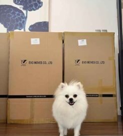 EVo Moves Company Limited