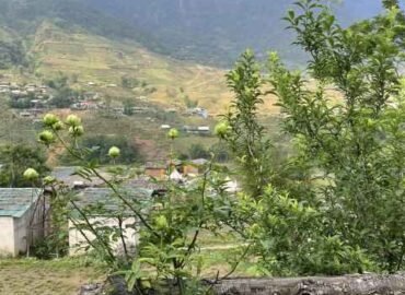 H’nee House Ta Van – Sapa