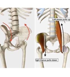 Joe Nguyen Osteopathic Care Clinic