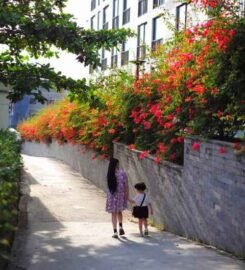 Old Town Resort Phú Quốc