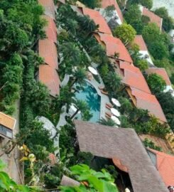 Tam Cốc Retreat Ninh Bình