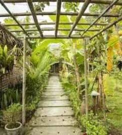 Tam Coc Rice Fields Resort