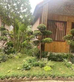 Tam Cốc Rocky Bungalow