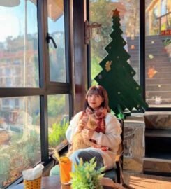 Tiệm Cafe Pine Hill Sapa