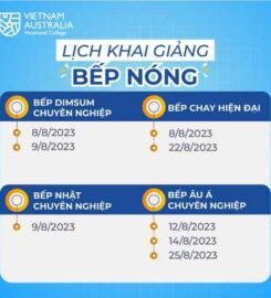 Vietnam Australia Vocational College