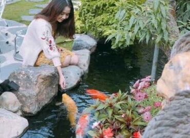 Cá Koi Homestay Đà Lạt
