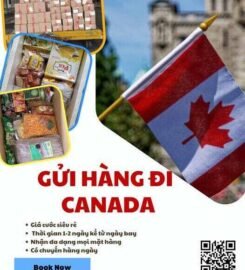Chuyển phát nhanh Vietnam Canada – Vietnam Canada Expresss Logistics