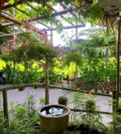 Hoi An Local Non-profit Tours