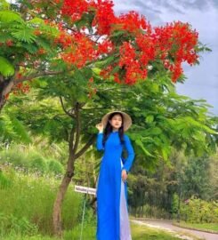 Seagate Bungalows Quy Nhon