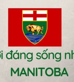 TTN immigration – Định cư Canada