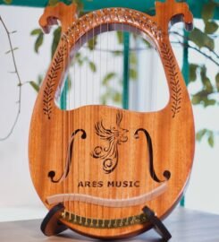 Nhạc Cụ Vân Anh 