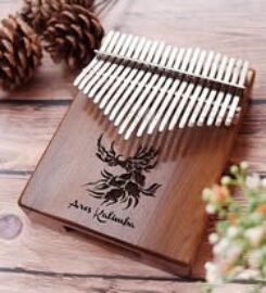 Nhạc Cụ Vân Anh 